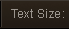 Text Size