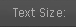 Text Size