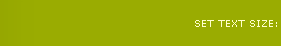 Set Text Size