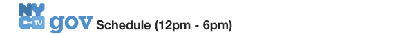 NYC Gov Schedule 12pm - 6pm