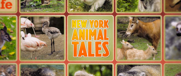 Animal Tales