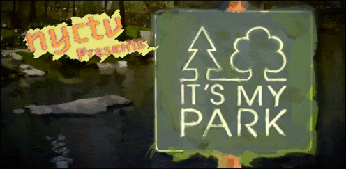 Images from 'It's Your Park'