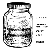 illustration: jar