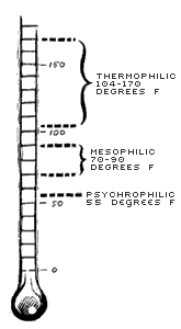 thermometer