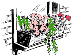 illustration: window box