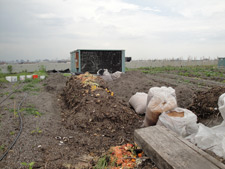 image: windrow at brooklyn grange image: windrow at brooklyn grange