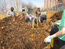 image: compost learning center image: compost learning center