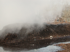 image: compost pile