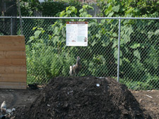 image: compost learning center image: compost learning center