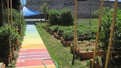 photo: garden photo: garden
