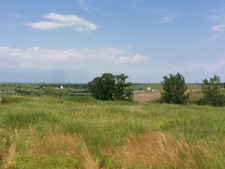 photo: Freshkills photo: Freshkills