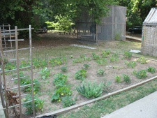 photo: garden photo: garden