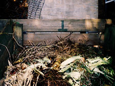 photo: 9th Street Community Garden