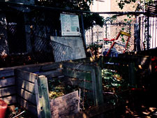 photo: 9th Street Community Garden