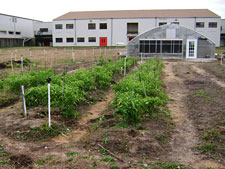 photo: Arthur Kill Correctional Facility