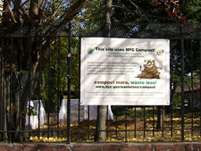 photo: Amboy Neighborhood Garden