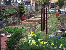 photo: Bainbridge Avenue Community Garden