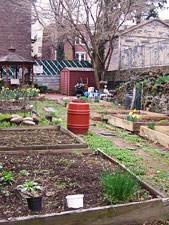 photo: Bainbridge Community Garden