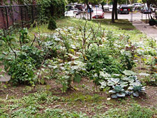 photo: For A Better Bronx