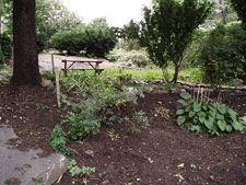 photo: Bryant Hill Community Garden