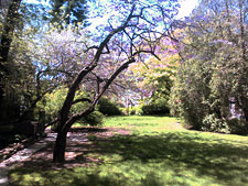 photo: Bowne House