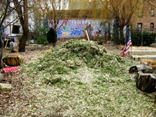 photo: Brook Park