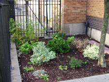 photo: Clara Barton School