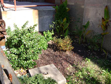 photo: Clara Barton School