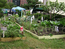photo: Claremont Homeowners Group