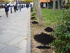 photo: Columbus Park