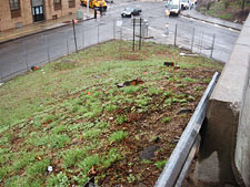 photo: BQE Arterial Roadway Repair and Maintenence