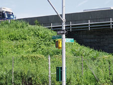 photo: Brooklyn Greenway Initiative