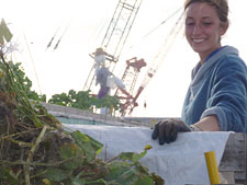 photo: Eagle Street Rooftop Farm