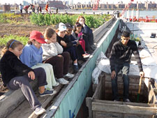 photo: Eagle Street Rooftop Farm