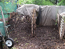 photo: East 4th Street Community Garden