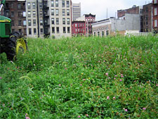photo: East Harlem Land Restoration Project