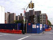 photo: East Harlem Land Restoration Project