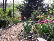 photo: Enchanted Garden
