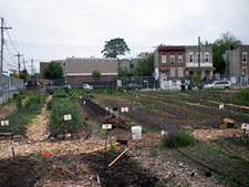 photo: Hands and Heart Garden
