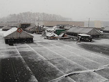 photo: Linda Tool & Die Corporation's Green Roof