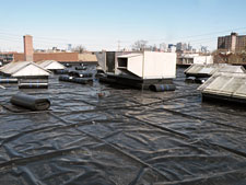 photo: Linda Tool & Die Corporation's Green Roof
