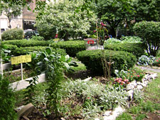 photo: Garden of Eden