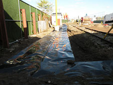 photo: Gaia Institute project at Sims site 