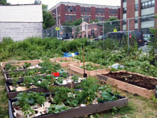 photo: Imani Gardens