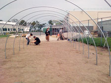 photo: Kingsborough Community College
