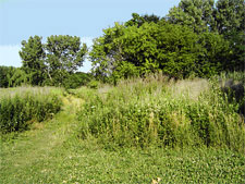 photo: Kissena Corridor Park