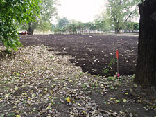 photo: Kissena Corridor Park