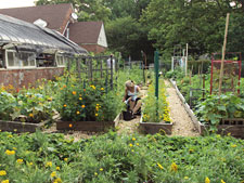 photo: Lifestyles for the Disabled
