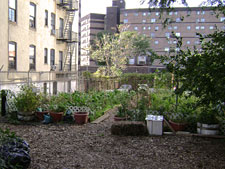 Mapes Avenue Garden