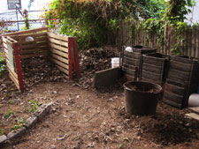 photo: Morris Jumel Community Garden